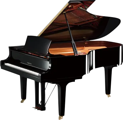 Digital Piano - Professional piano moving